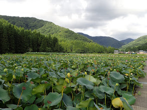 花はす公園