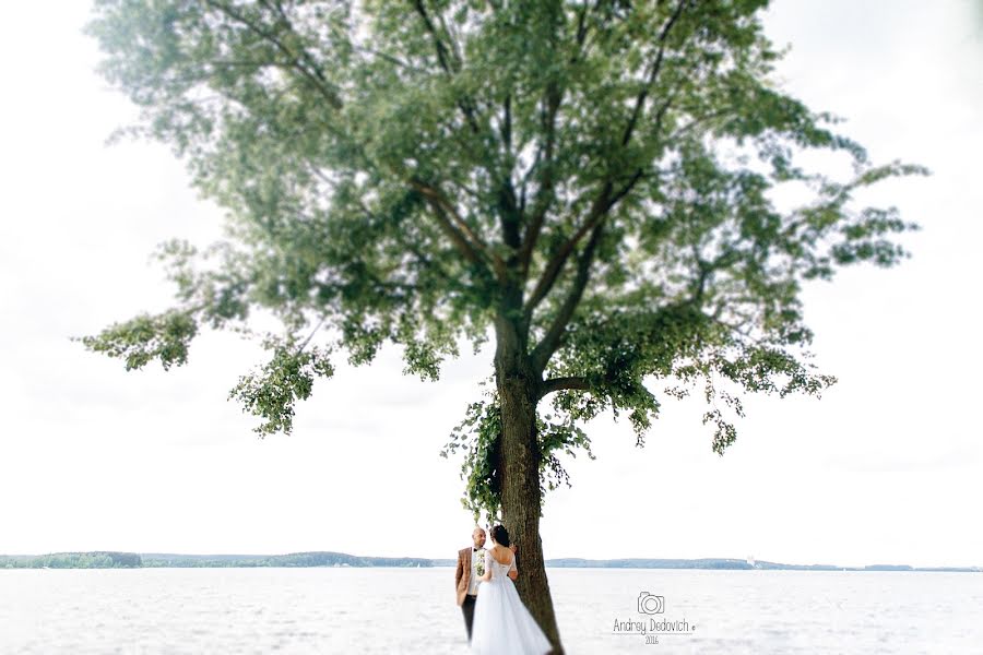 Wedding photographer Andrey Dedovich (dedovich). Photo of 8 August 2016