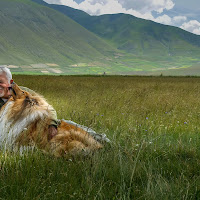 Amore incondizionato di Concetta Caracciolo