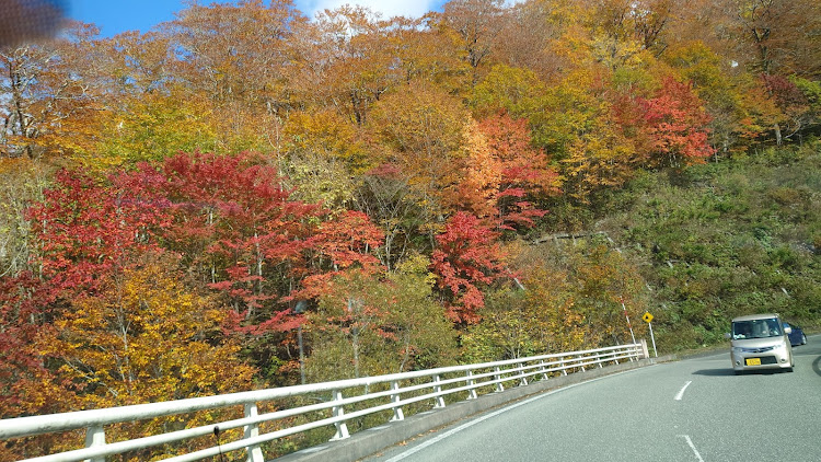 スカイライン GT-RのLM Limited・ドライブ・紅葉・稲庭うどん・秋田県に関するカスタム事例の投稿画像6枚目