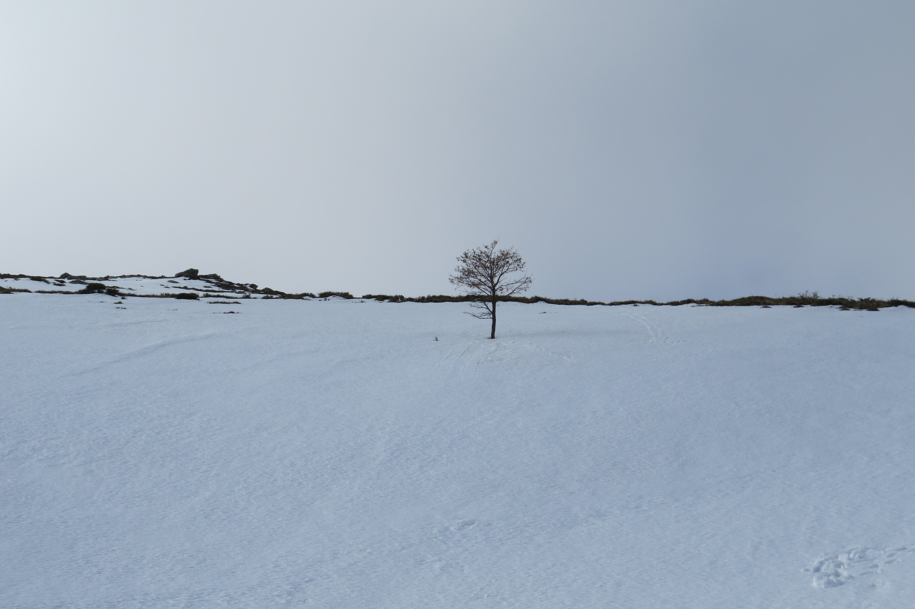 Inverno in terra sarda di macri.sanna