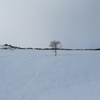 Inverno in terra sarda di 