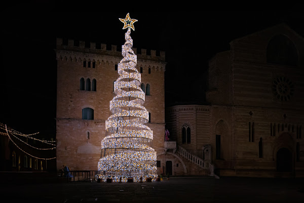 L'Albero di NickAdami