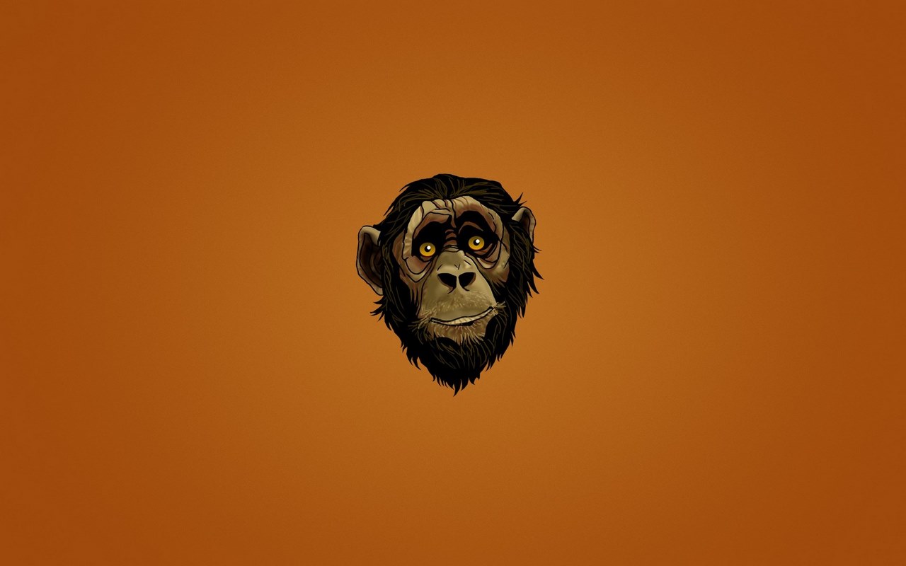 Monkey Wallpaper Preview image 5