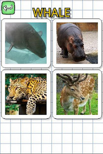 動物用英语(圖4)-速報App