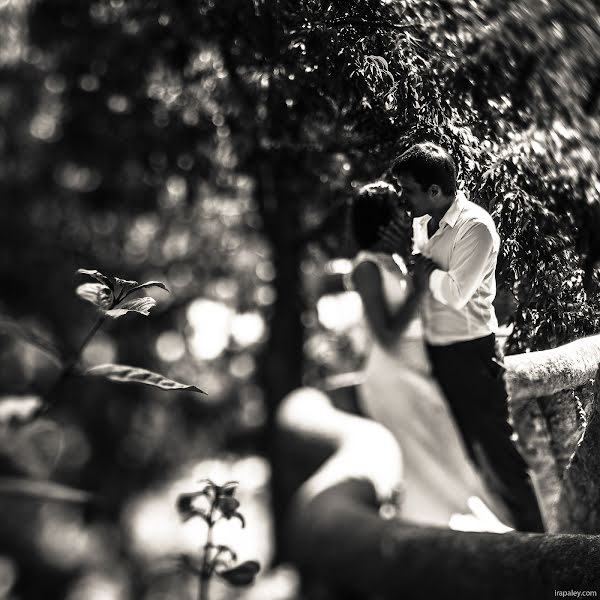 Photographe de mariage Irina Paley (paley). Photo du 27 juillet 2013