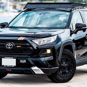 RAV4 MXAA54