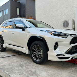 RAV4 AXAP54