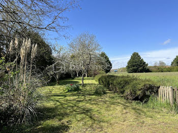 maison à Cléré-les-Pins (37)