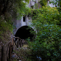 la selva semi oscura di 