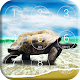 Download Super Turtle App For PC Windows and Mac 1.0