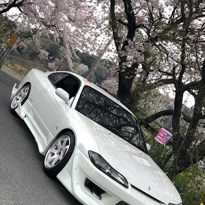 シルビア
