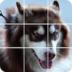 Cover Image of Download Tile Puzzles - Slide Puzzles Dogs 1.1 APK