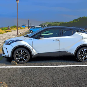 C-HR ZYX11