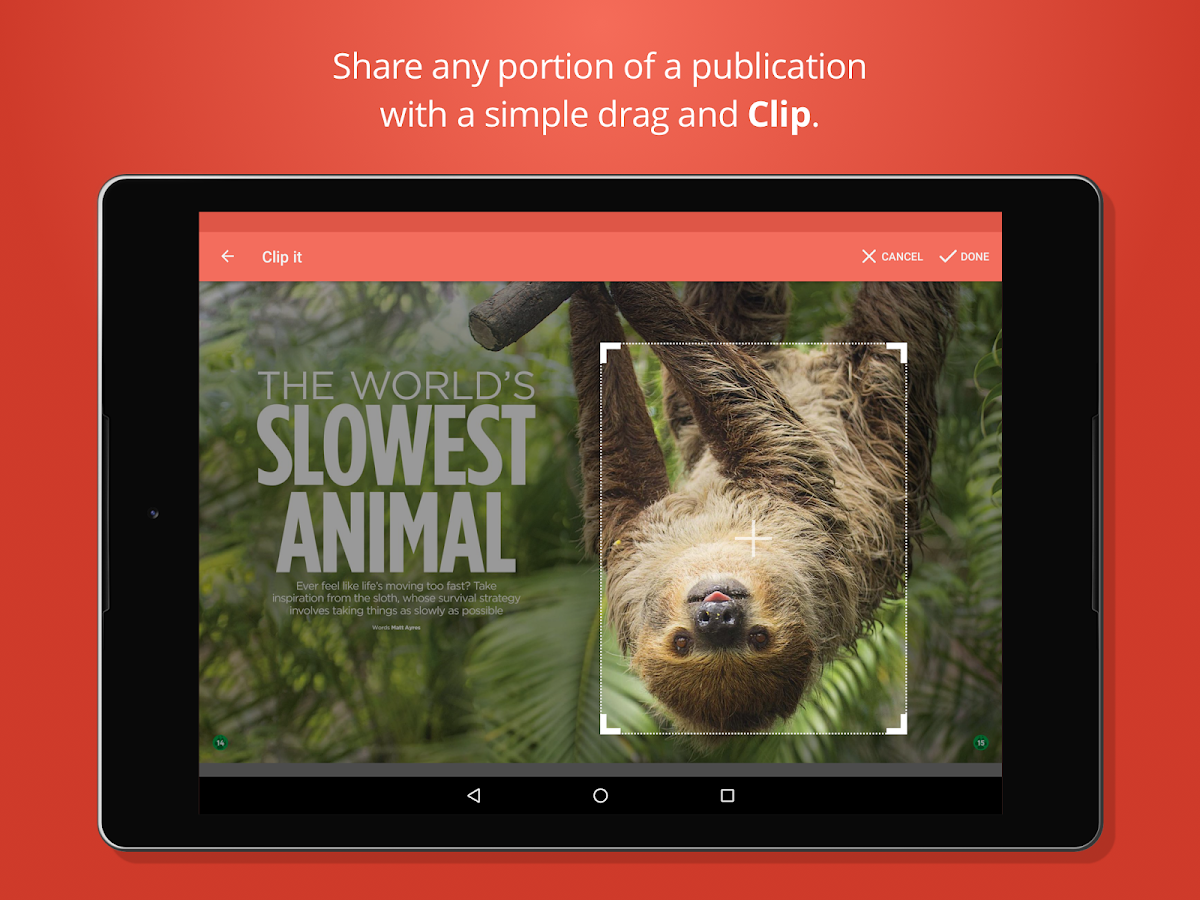    issuu - Read Magazines, Catalogs, Newspapers.- screenshot  