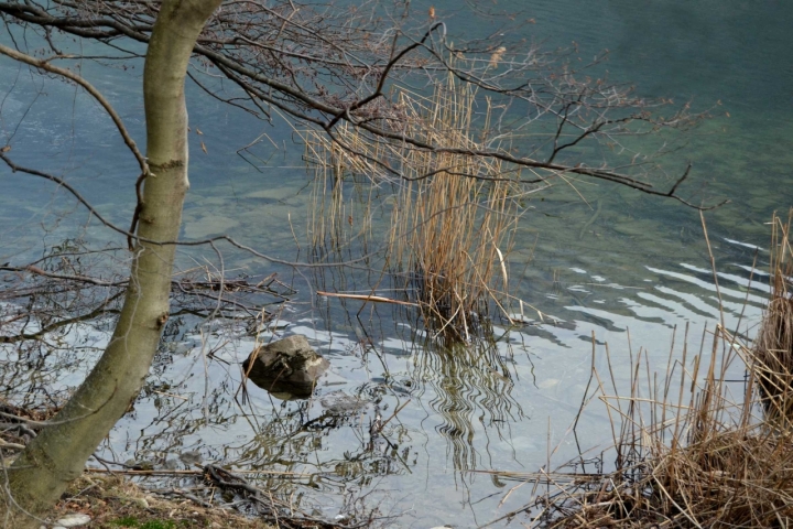 Riflessi lacustri di aeglos