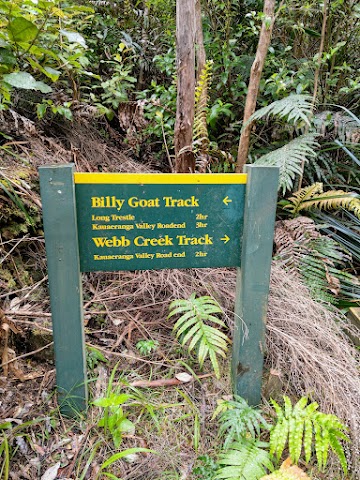 Pinnacles Walk Billy Goat Track and Webb Creek Track