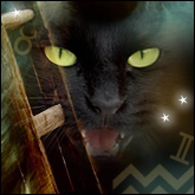 Black Cats As Witches' Familiars