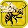 Angry Bee Evolution icon