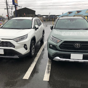 RAV4 MXAA54