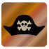 Pirates photo stickers12.0