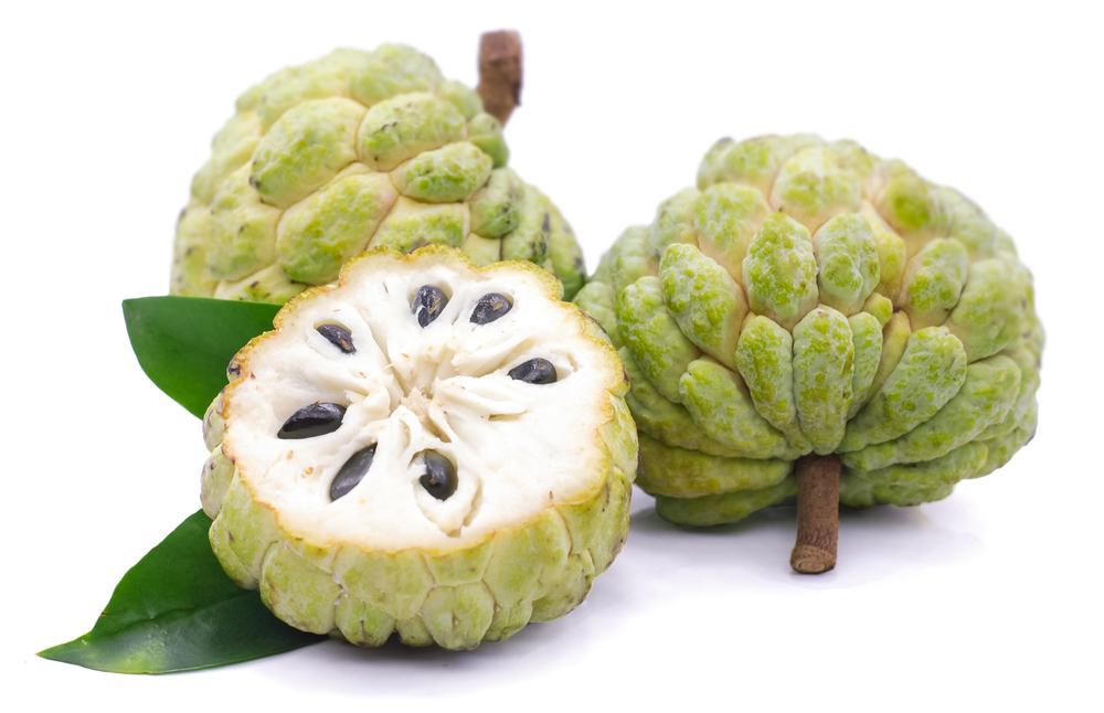 Custard Apple