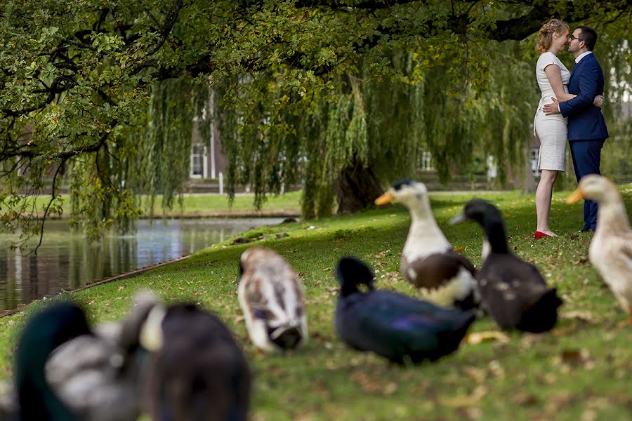 Hochzeitsfotograf Els Korsten (korsten). Foto vom 1. November 2017