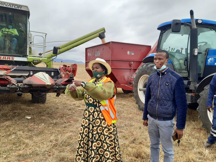 Nomakhosazana Meth at the Aah Zwelakhe Agricultural Co-operative harvest day in Ngcobo