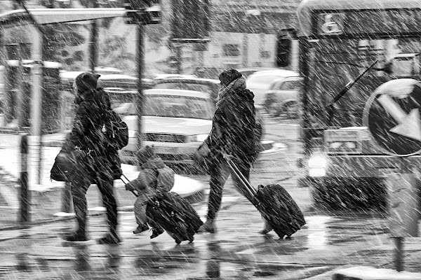 Trasporti urbani di Yoyo