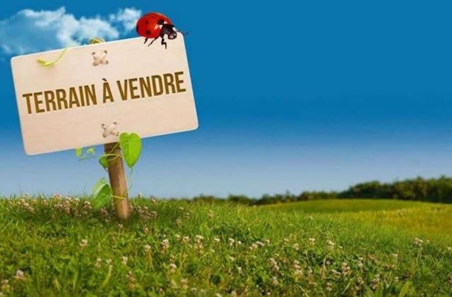 Vente terrain  458 m² à Saint-Lyphard (44410), 102 000 €