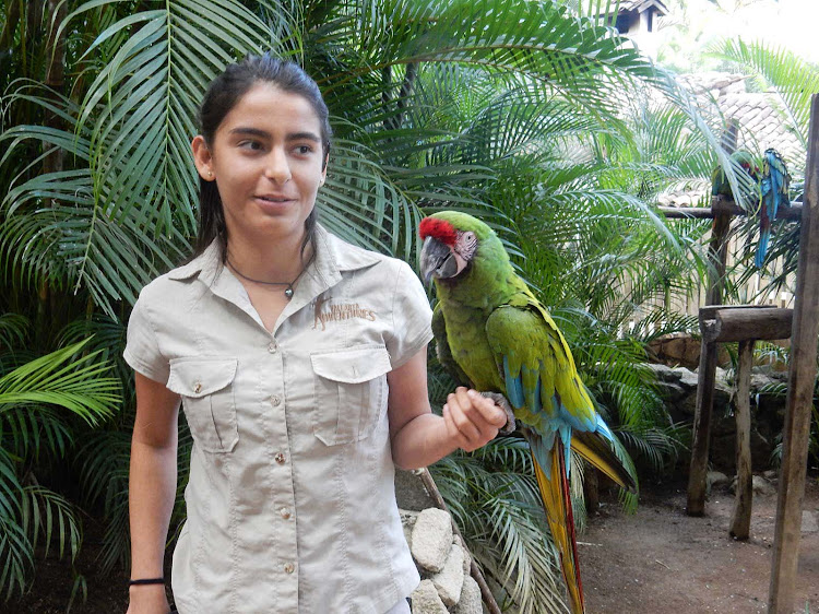A staffer at Vallarta Adventures shows off a macaw during a shore excursion to Las Caletas near Puerto Vallarta. 