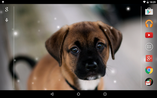 免費下載個人化APP|Puppies Live Wallpaper app開箱文|APP開箱王