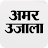 Amar Ujala Hindi News, ePaper icon