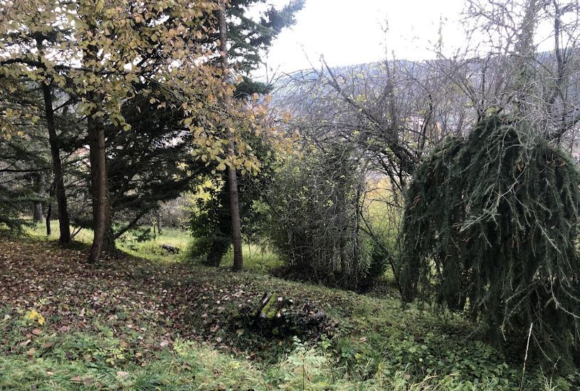  Vente Terrain à bâtir - 1 223m² à Bourg-de-Thizy (69240) 