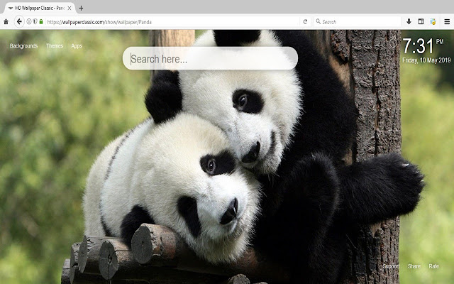 Panda HD Wallpapers New Tab Theme