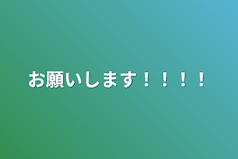 お願いします！！！！