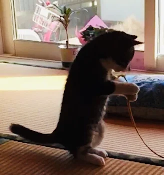 幸せだったのになんで