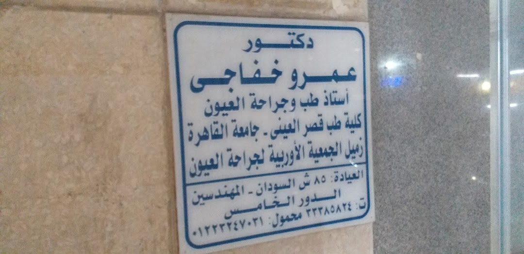 عمرو خفاجى