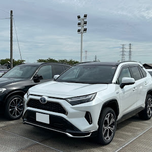 RAV4 AXAP54