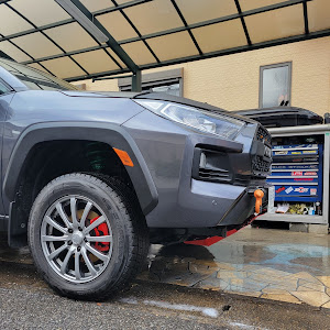 RAV4 MXAA54