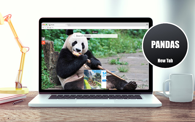 *NEW* HD Pandas Wallpapers New Tab Theme