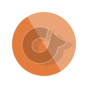 VÉRIFICATION SECURITY logo