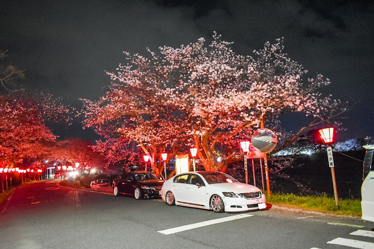 GSのサクラと愛車に関するカスタム事例の投稿画像3枚目