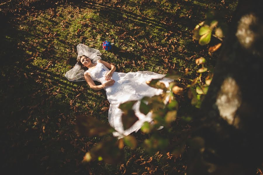 Fotografo di matrimoni Tim Demski (timdemski). Foto del 7 ottobre 2014