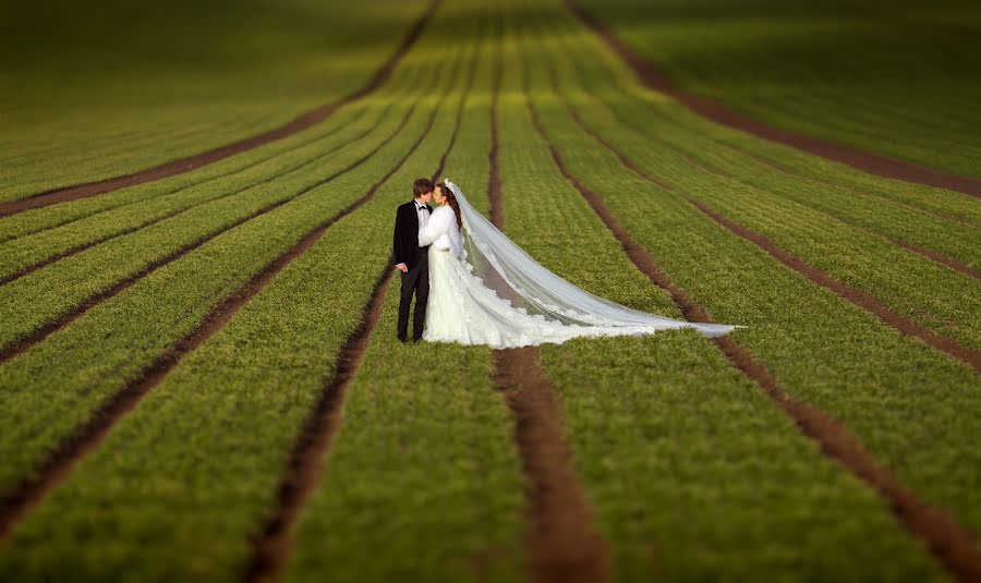 Huwelijksfotograaf Tatyana Kozhukhar (tmkozhukhar). Foto van 19 oktober 2017