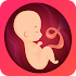 Pregnancy due date tracker with contraction timer 1.13.1