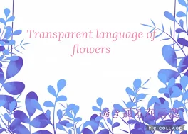 Transparent language of flowers  透き通る花言葉