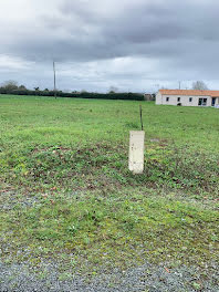 maison neuve à Villeneuve-en-Retz (44)