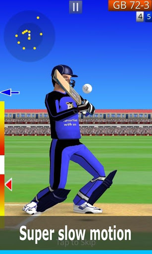 Screenshot Smashing Cricket: cricket game