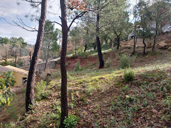 terrain à Vidauban (83)